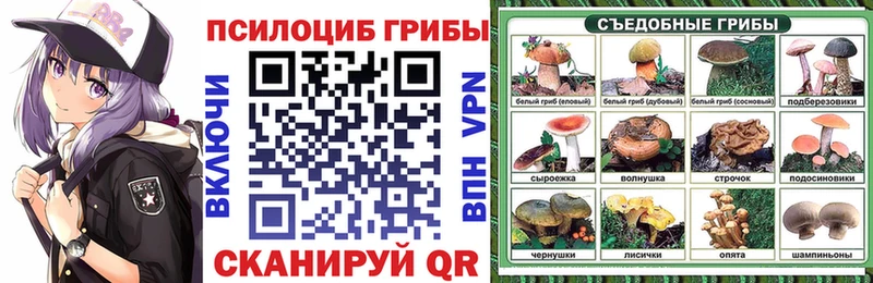 Псилоцибиновые грибы MAGIC MUSHROOMS  Куртамыш 